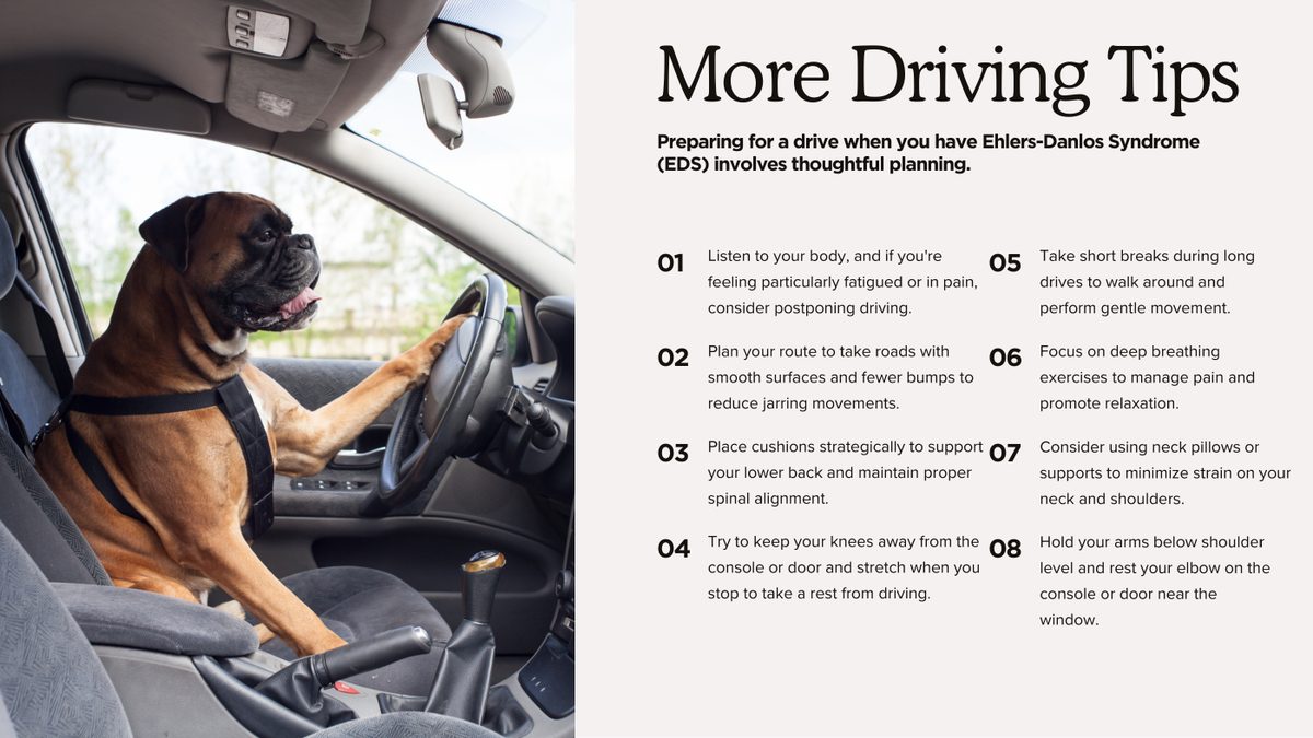 Eight more driving tips for EDS bodies